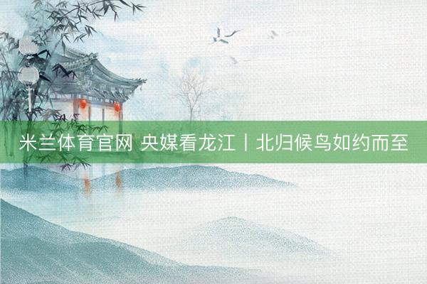 米兰体育官网 央媒看龙江丨北归候鸟如约而至