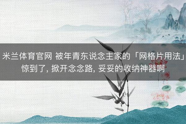米兰体育官网 被年青东说念主家的「网格片用法」惊到了, 掀开念念路, 妥妥的收纳神器啊