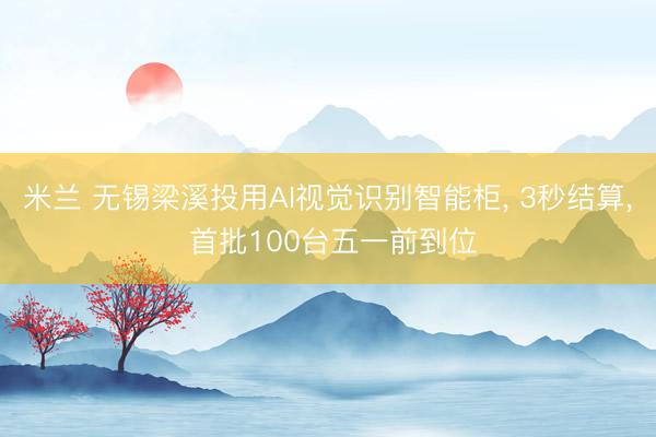 米兰 无锡梁溪投用AI视觉识别智能柜, 3秒结算, 首批100台五一前到位