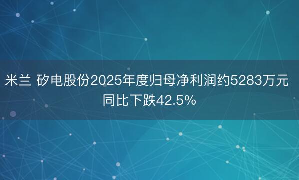米兰 矽电股份2025年度归母净利润约5283万元 同比下跌42.5%